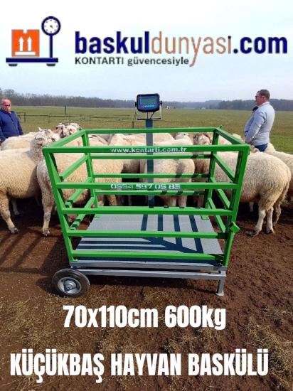 70*110CM 600KG TEKERLEKLİ KÜÇÜKBAŞ HAYVAN BASKÜLÜ