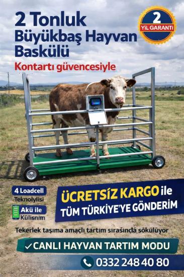 1X2 MT 2 TONLUK BÜYÜKBAŞ HAYVAN BASKÜLÜ TEKERLEKLİ MODEL